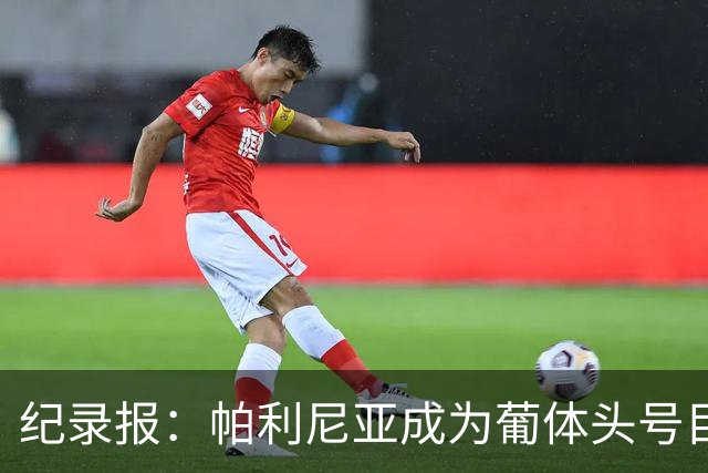纪录报：帕利尼亚成为葡体头号目标，希望在新赛季开始前敲定交易